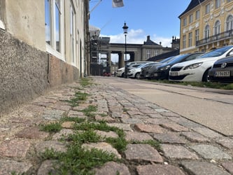 Ukrudtsbekæmpelse