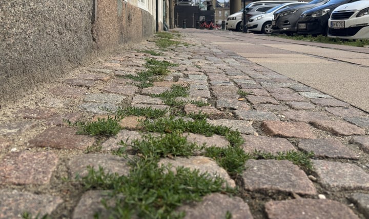 ukrudtsbekæmpelse